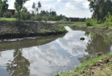 The campaign to rejuvenate the endangered rivers of Uttar Pradesh, led by Chief Minister Yogi Adityanath, is fast becoming a symbol of ecological revival and rural prosperity.