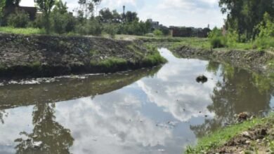 The campaign to rejuvenate the endangered rivers of Uttar Pradesh, led by Chief Minister Yogi Adityanath, is fast becoming a symbol of ecological revival and rural prosperity.