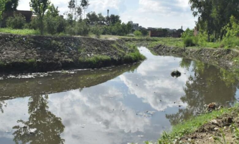 The campaign to rejuvenate the endangered rivers of Uttar Pradesh, led by Chief Minister Yogi Adityanath, is fast becoming a symbol of ecological revival and rural prosperity.